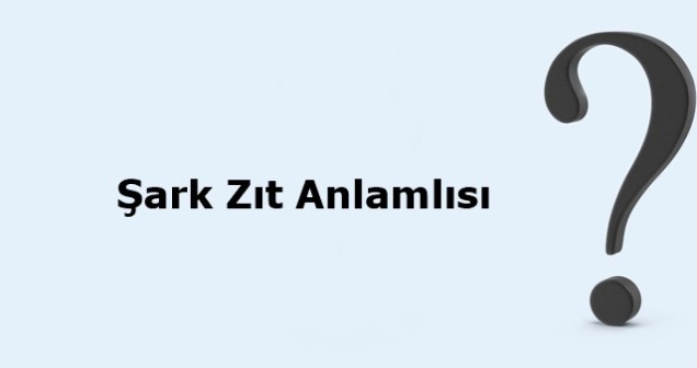 Şark Zıt Anlamlısı