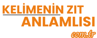 kelimeninzitanlamlisi.com.tr